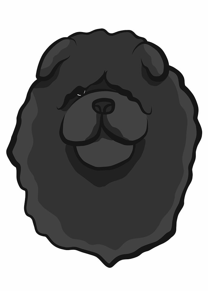 Chow chow dog face cartoon