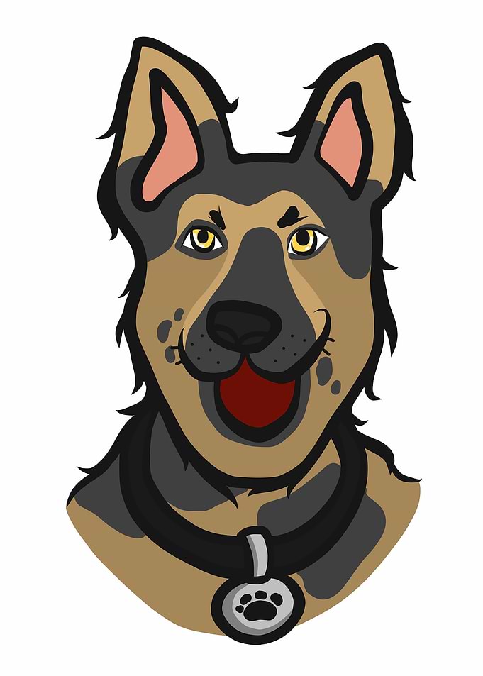 Alsatian dog face