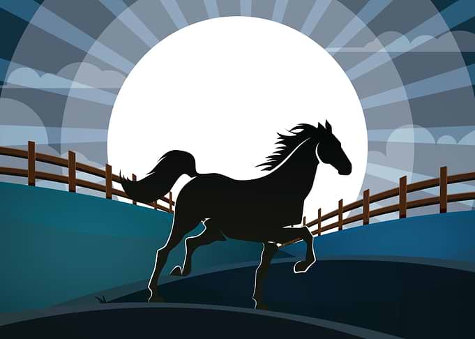 Horse Love