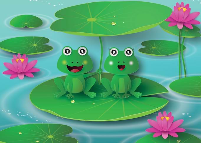 Frog cartoon