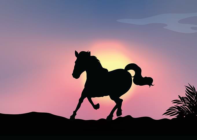 Horse Love