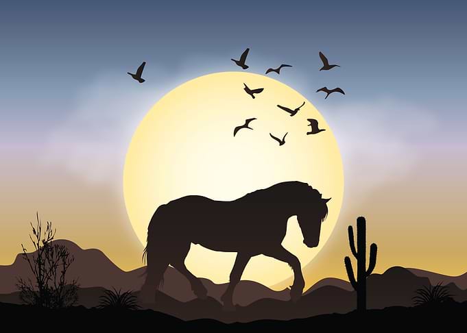 Horse Love