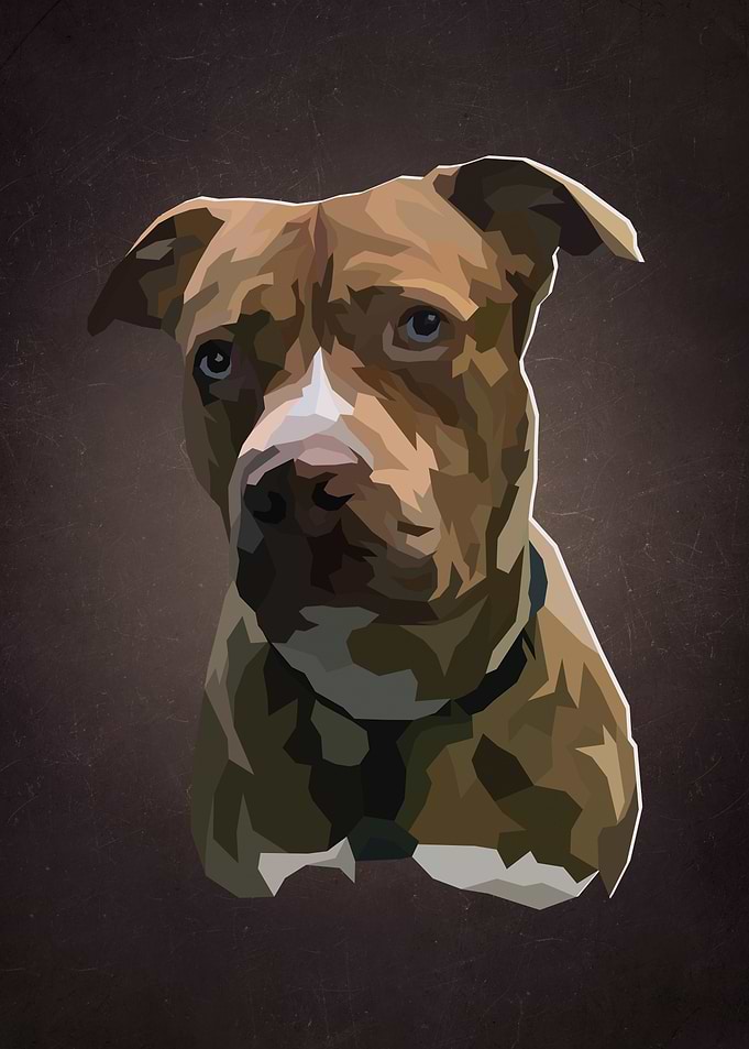 Dog 02