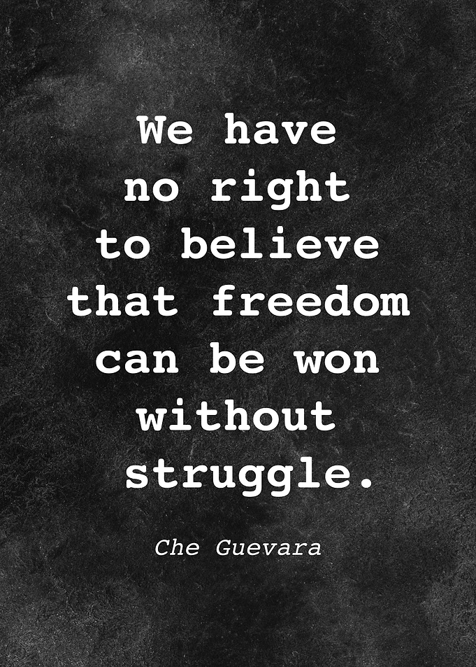 Che Guevara Quote D012