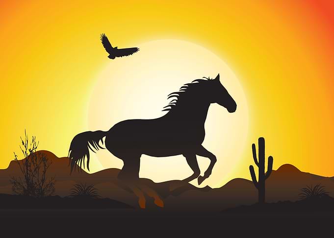 Horse Love