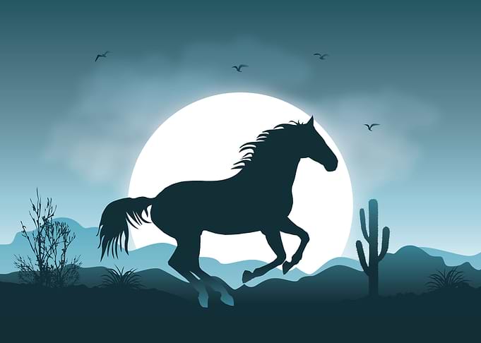 Horse Love