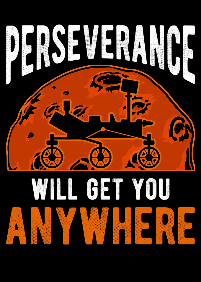 Mars Rover Mission Landed