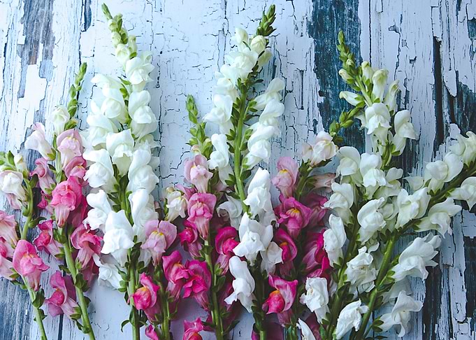 flower table