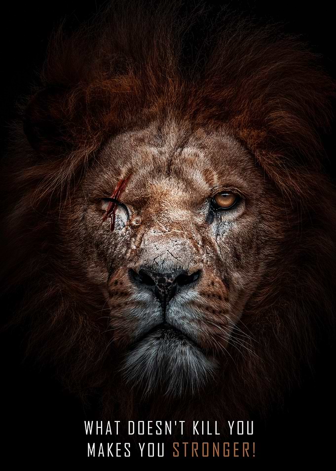 angry lion Motivation