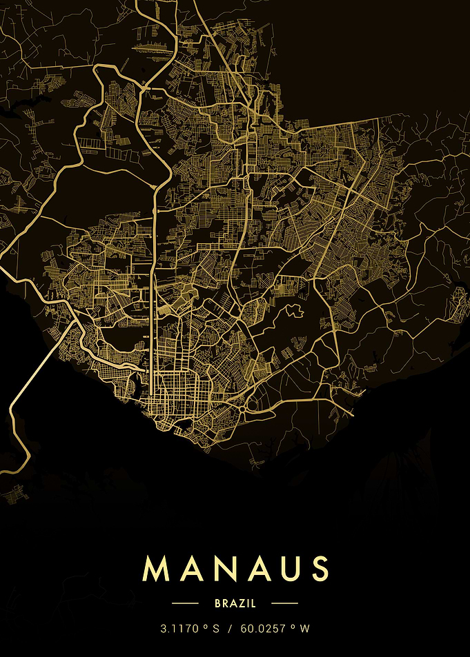 Manaus City Map Gold