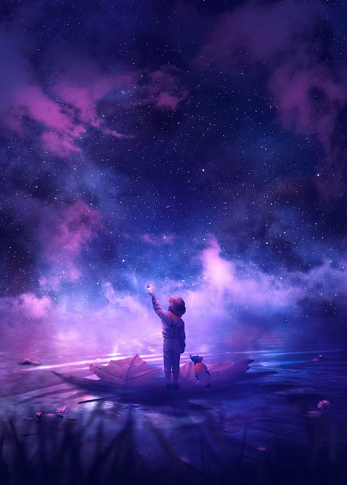 TRAVELER
