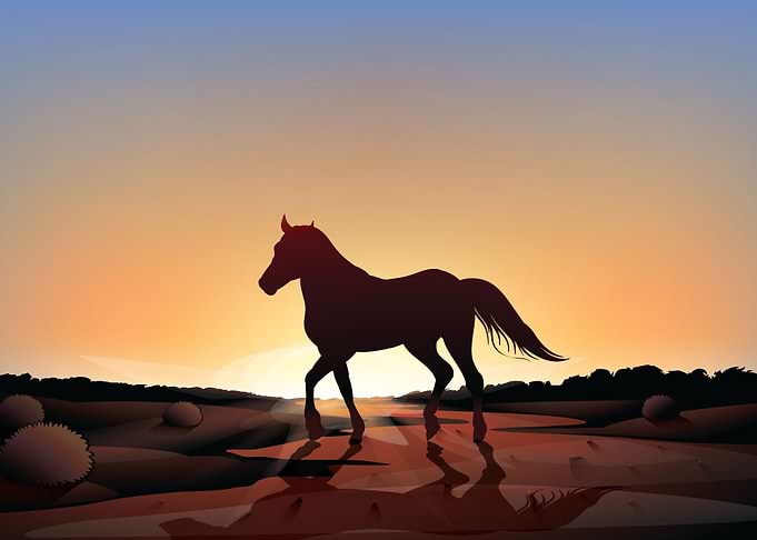 Horse Love