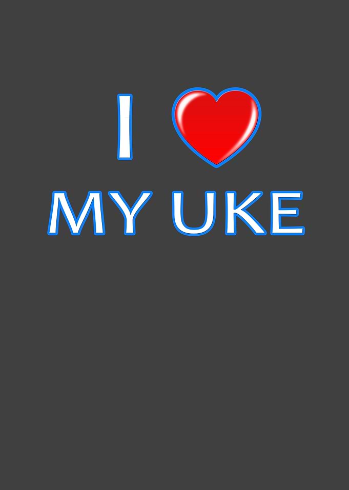 I love my Uke great for