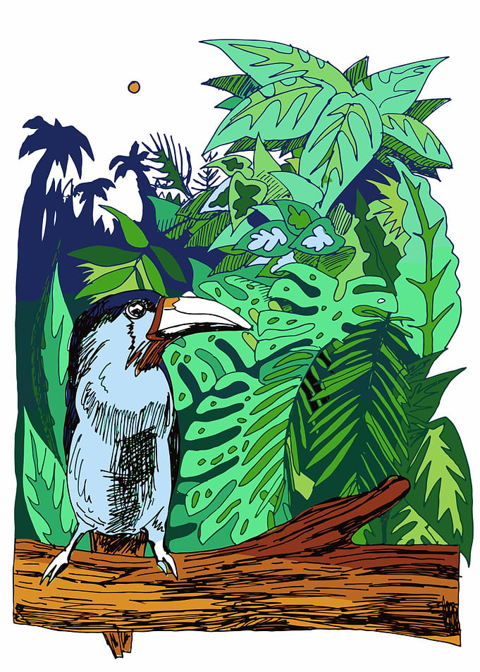 jungle bird