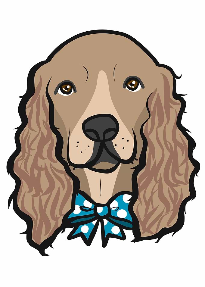 Cocker Spaniel dog face
