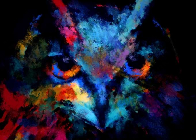Owl