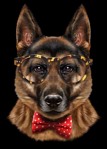 Dandy German Shepherd Dog
