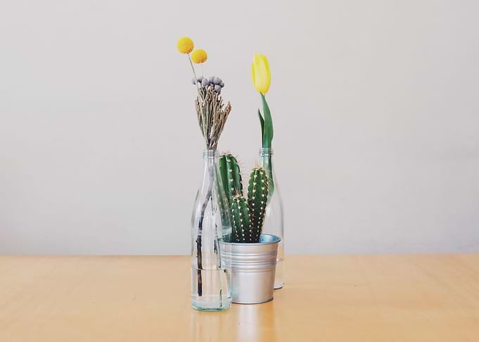 Flowers Vases yellow tulip