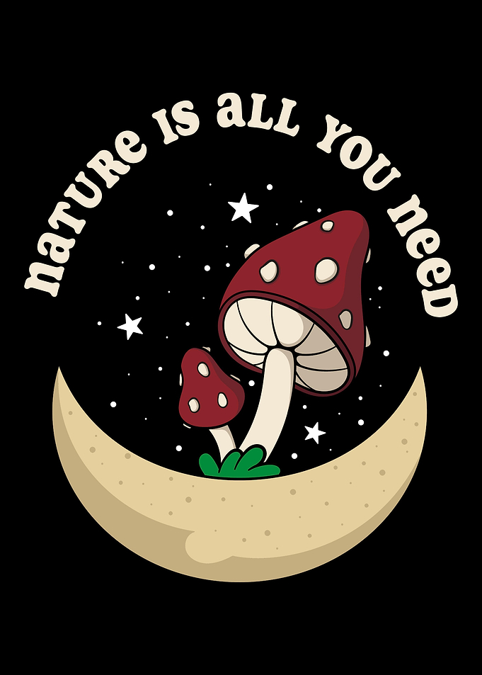 Mushroom Forager