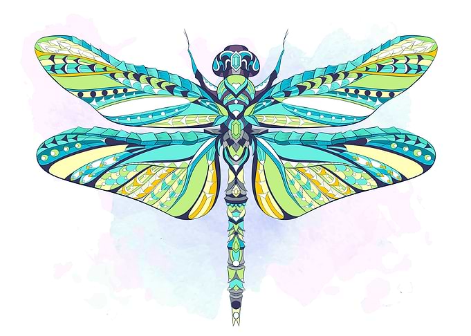 dragonfly