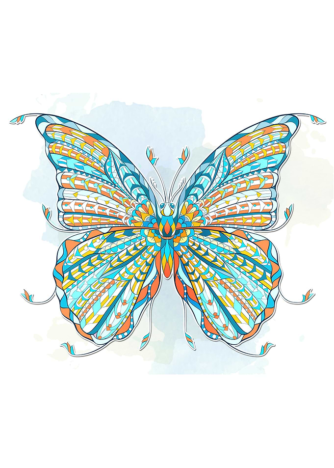 Butterfly