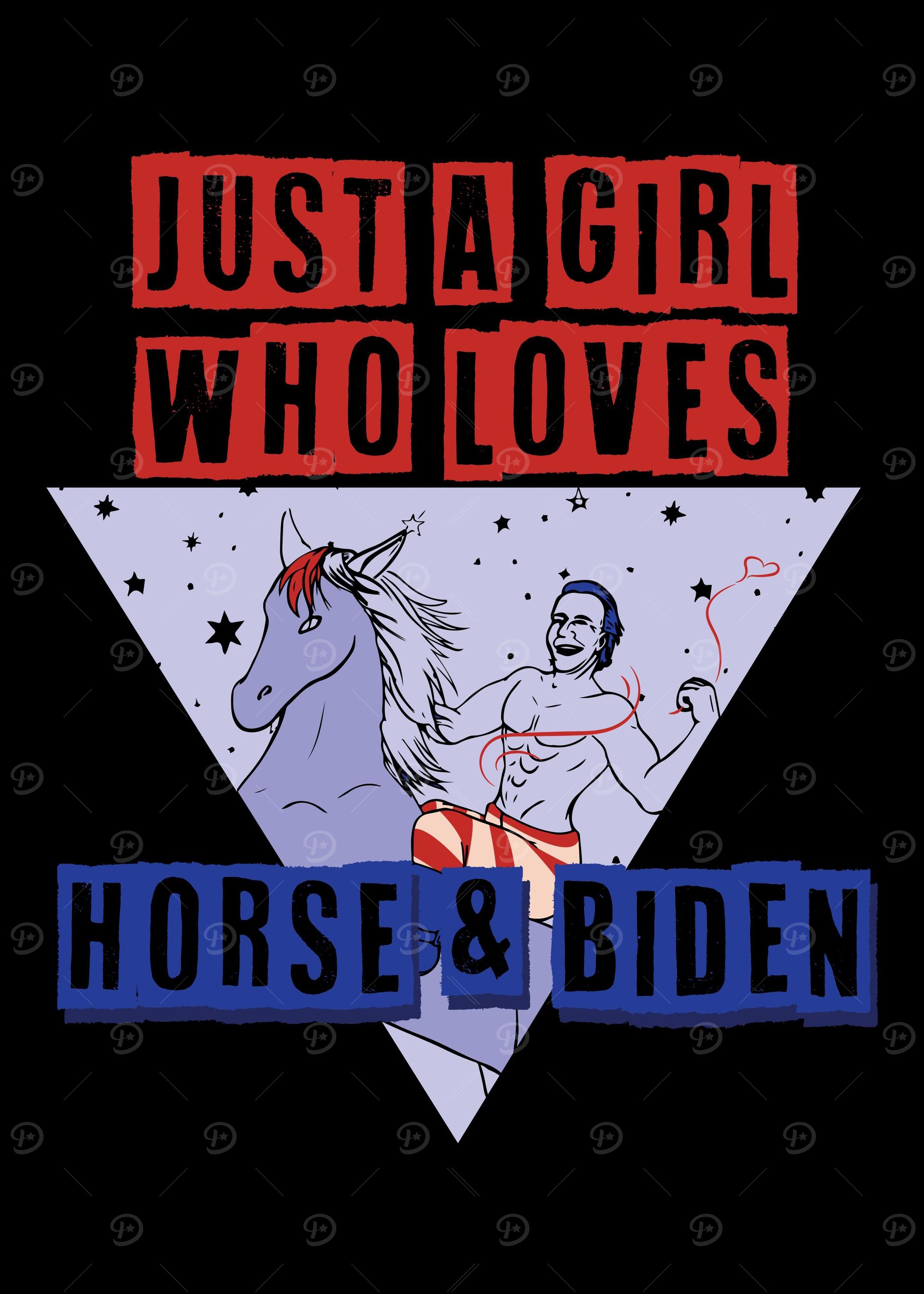 Joe Biden President USA