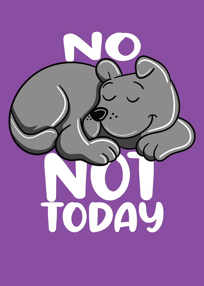 No Not Today funny Dog