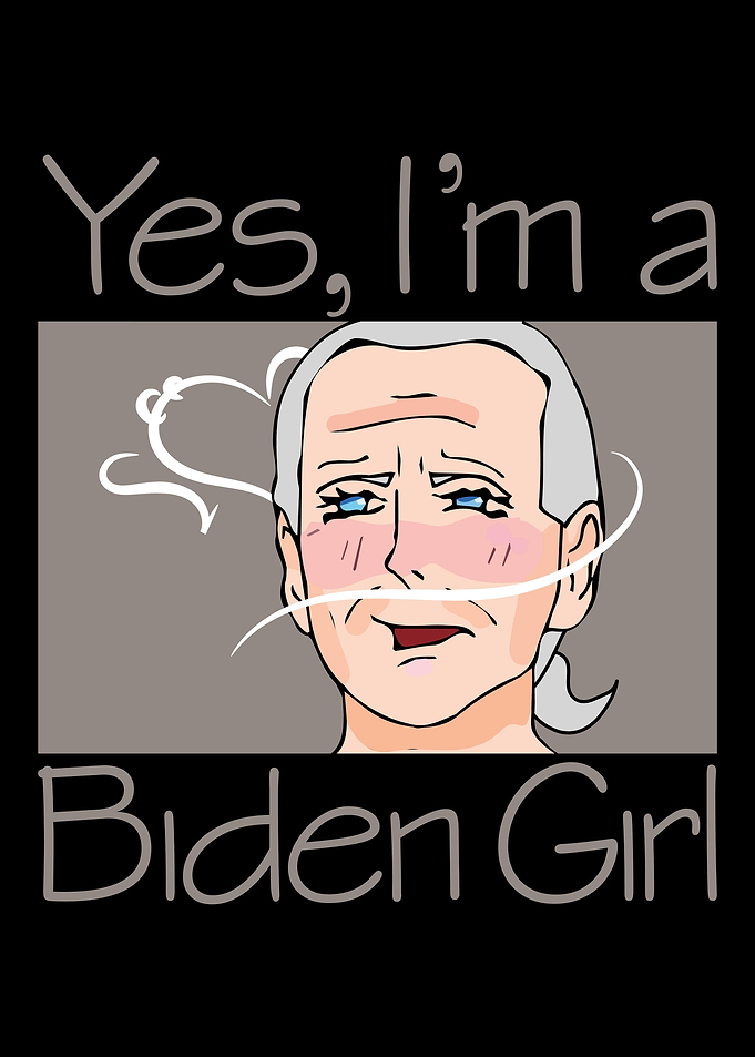 Joe Biden President USA