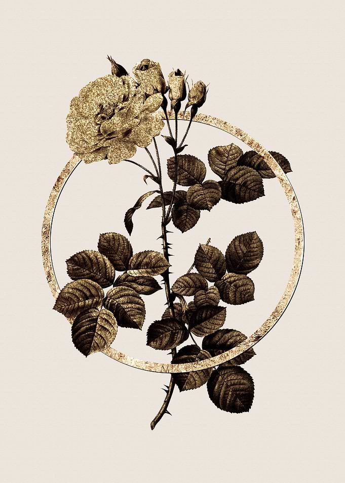 Gold Circle Rose Botanical