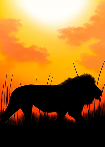 Lion Silhouette