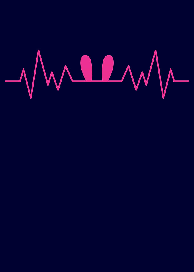Rabbit Ears Easter Rabbit