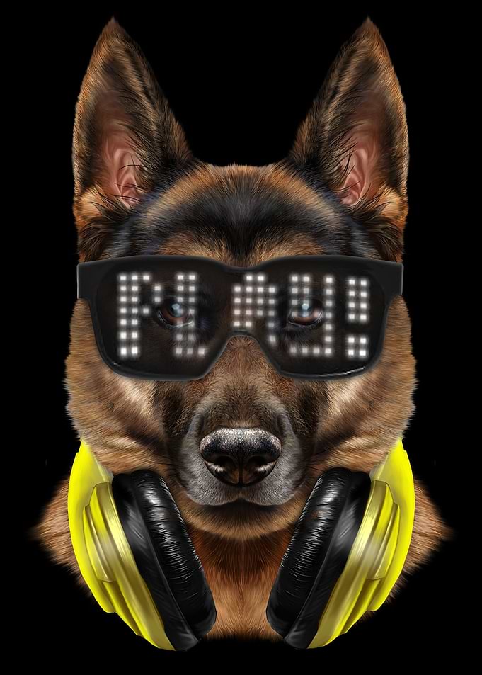 Rapper German Shepherd Dog