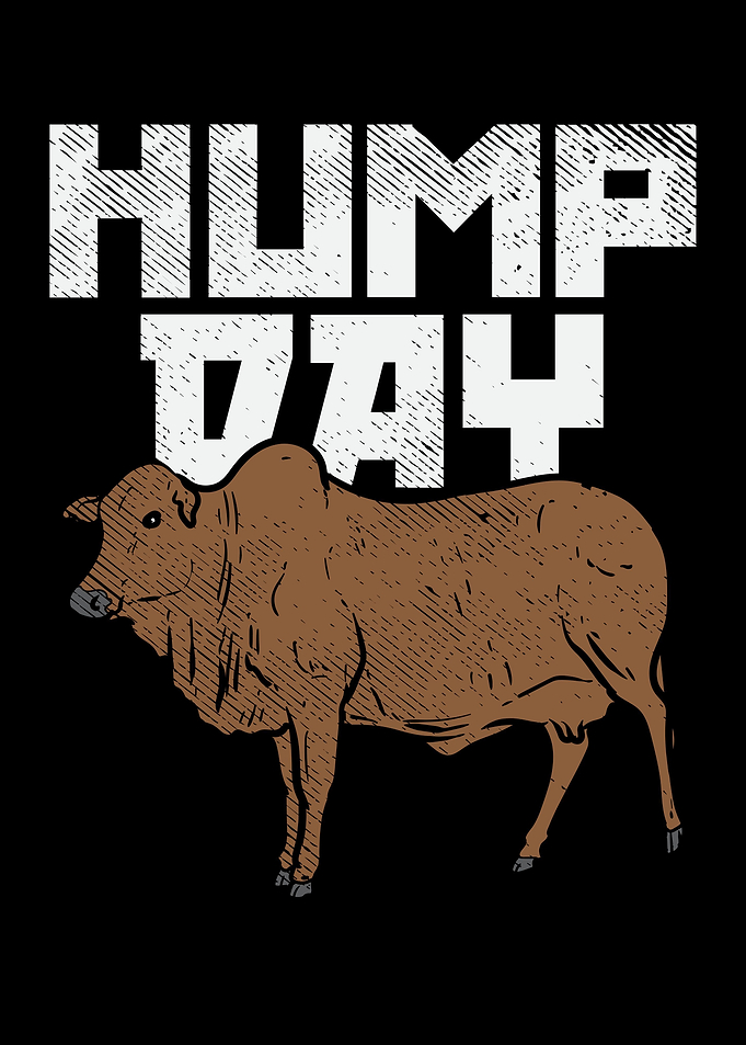 Hump Day