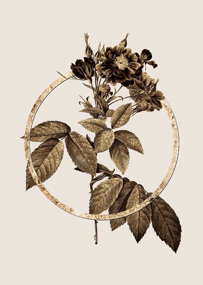 Gold Circle Rose Botanical