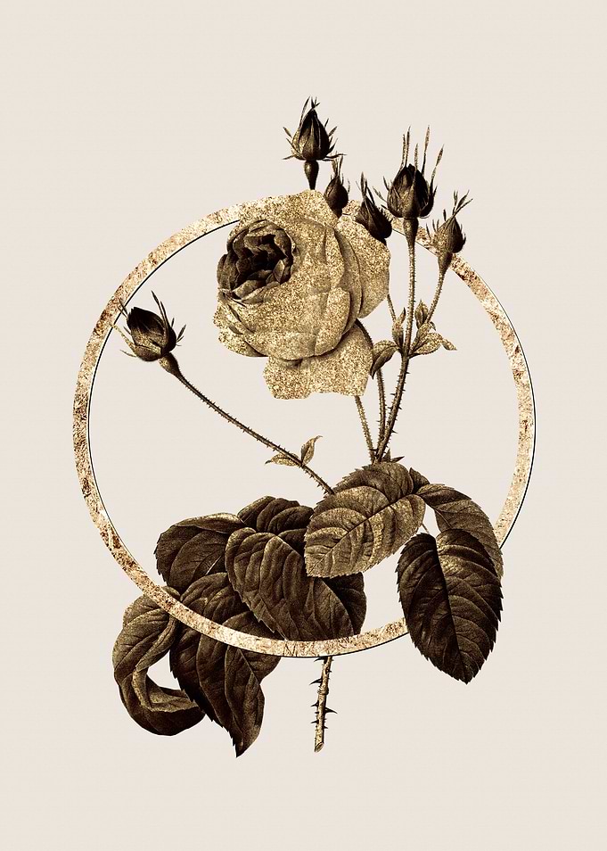 Gold Circle Rose Botanical