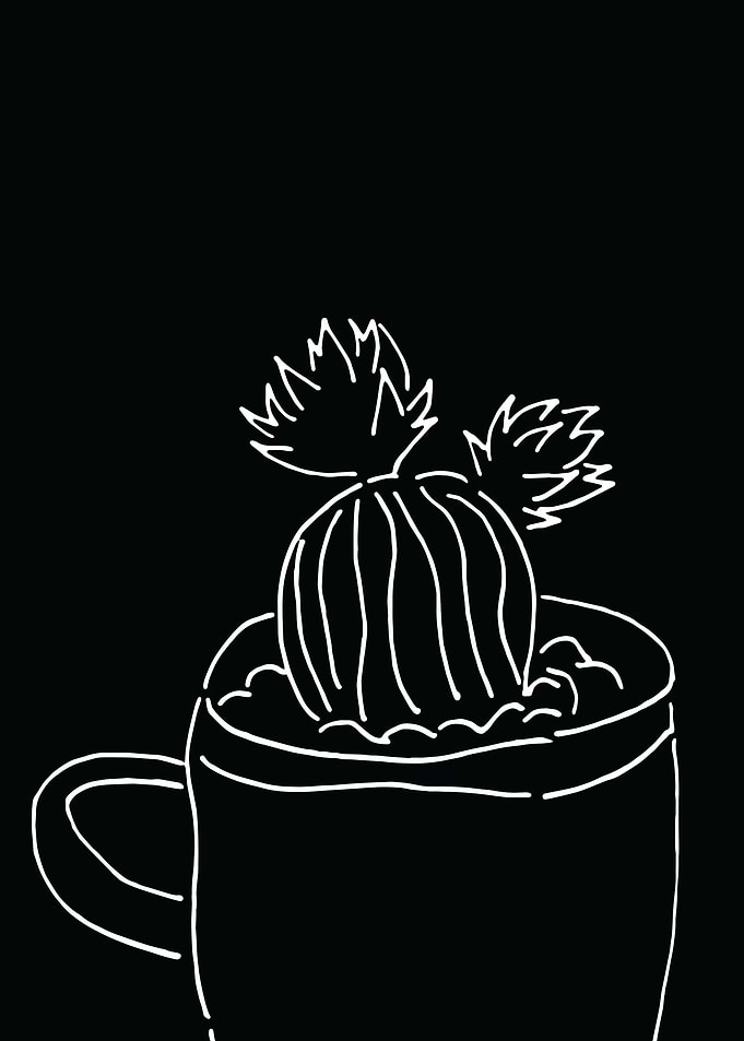 Nature Cactus Plant