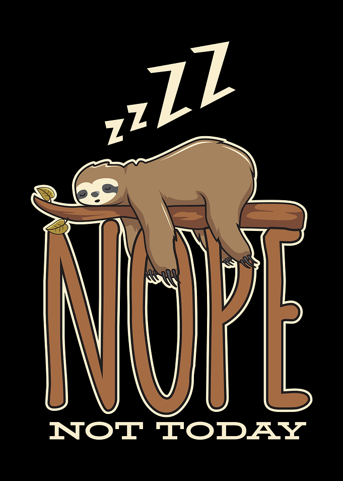 Sloth Baby