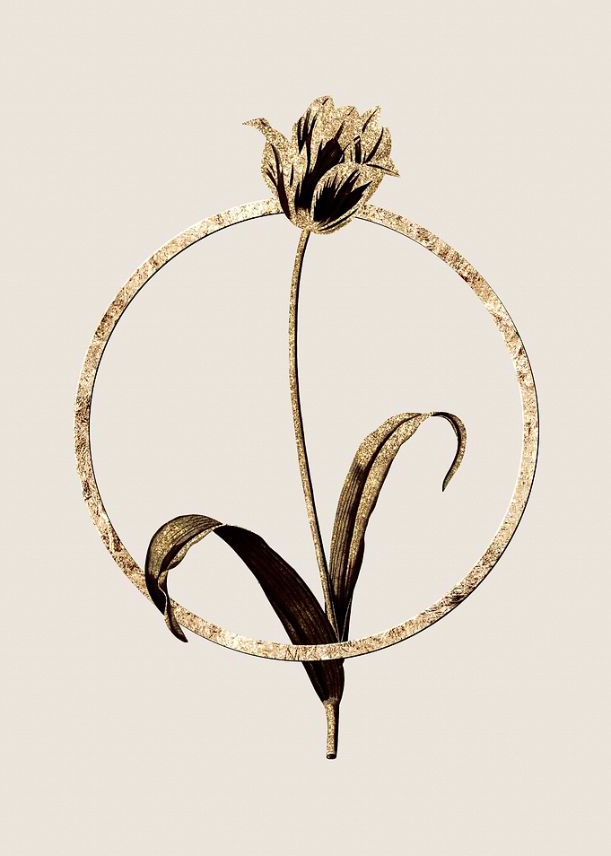 Gold Didiers Tulip Flower