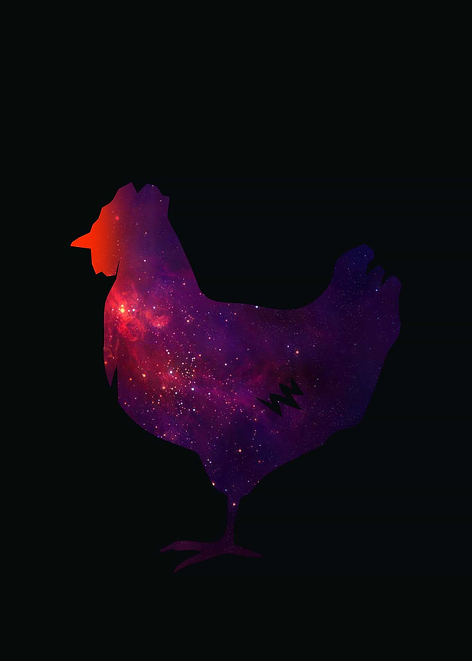 rooster