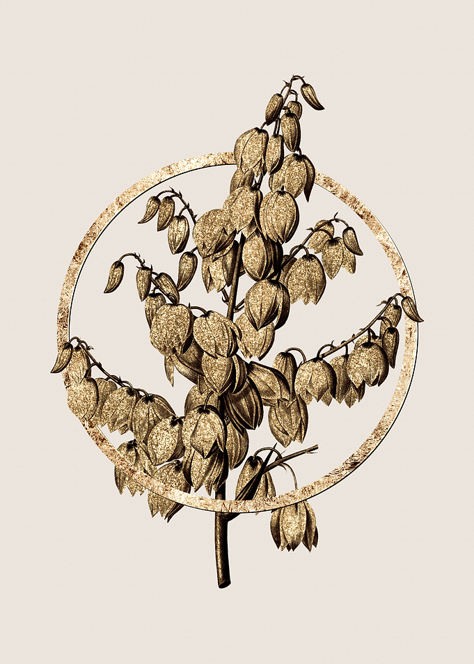 Gold Aloe Yucca Flower