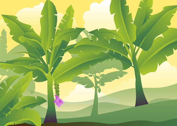 Banana Tree