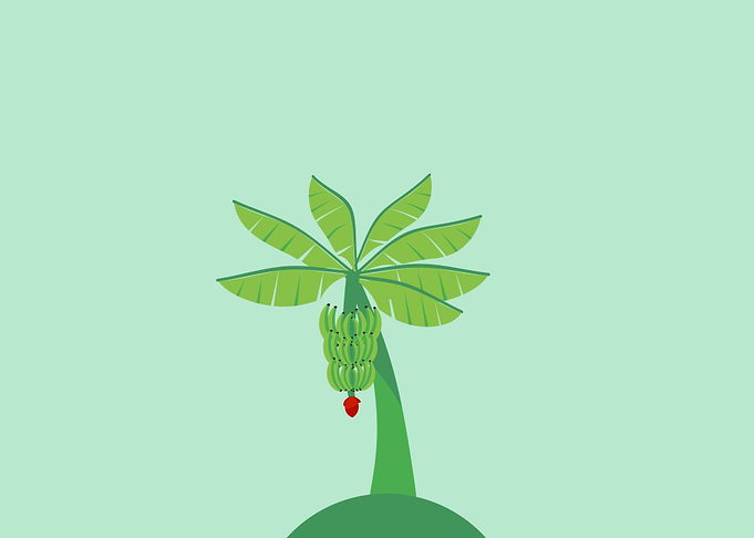 Banana Tree