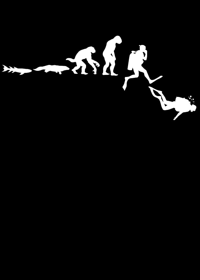 Evolution Of Diving