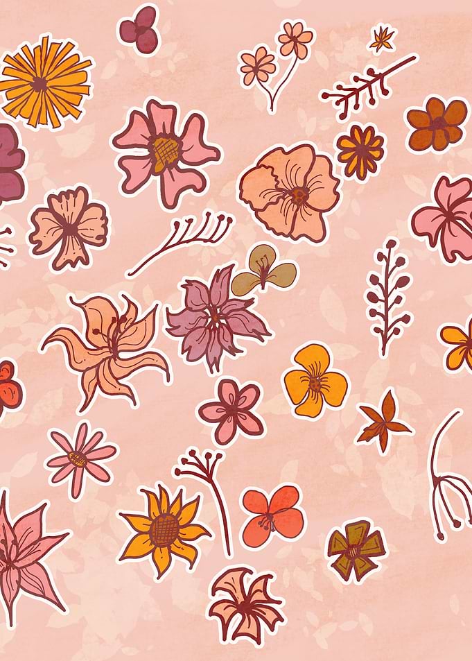 Bloom