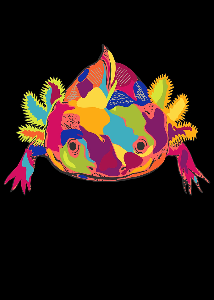 Cute Axolotl Mexican