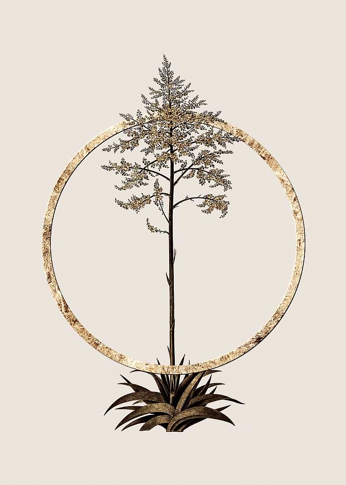 Gold Giant Cabuya Flower