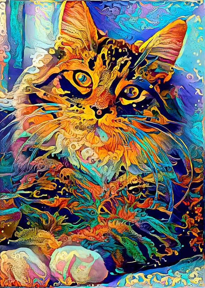 Cute Kitty