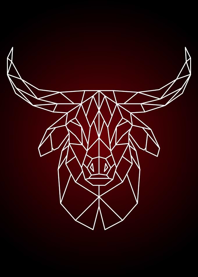 Bull