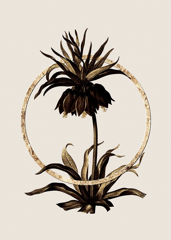 Gold Fritillaries Flower