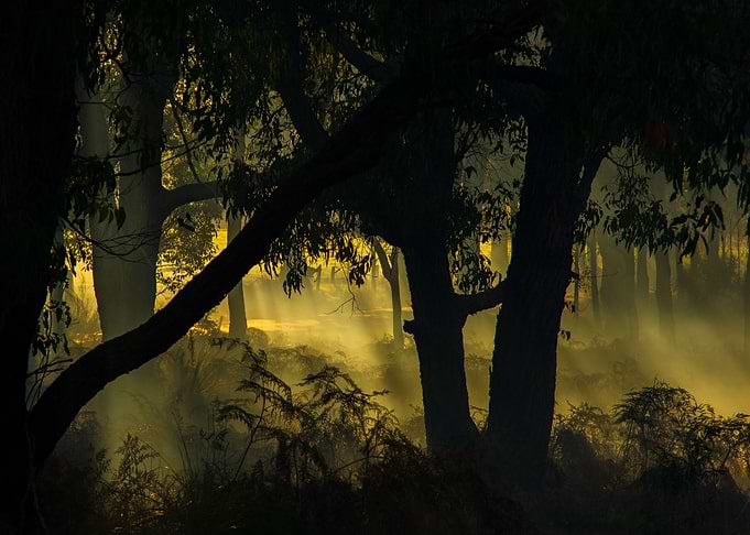 Golden Dawn